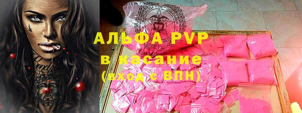 прущие грибы Абаза