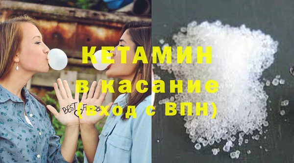 прущие грибы Абаза