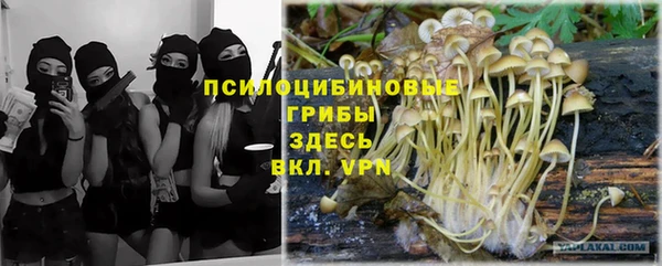 прущий лед Абдулино