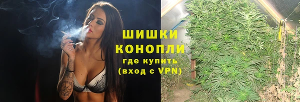 прущие грибы Абаза