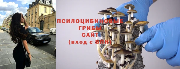 прущие грибы Абаза