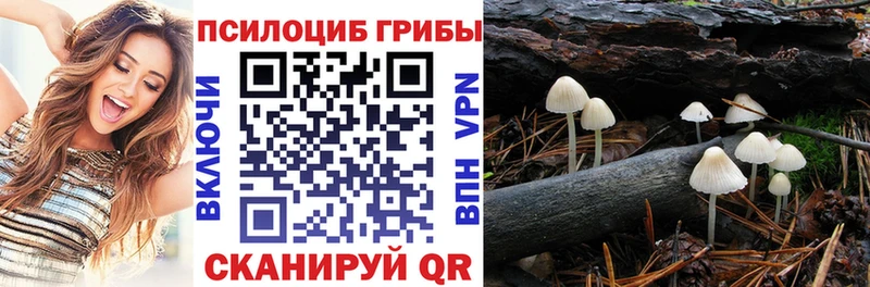 Псилоцибиновые грибы Psilocybe  цены наркотик  Первоуральск 